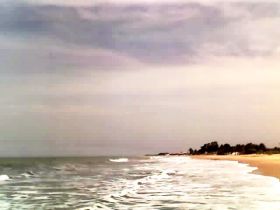 BEACH    1